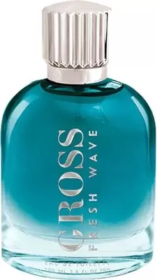 Туалетная вода Christine Lavoisier Gross Fresh Wave 100мл фото