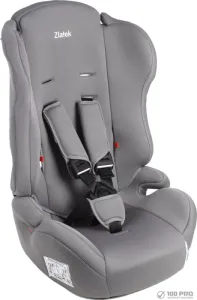 Детское автокресло Zlatek Basic ZL513 KRES4139 (муссон) фото