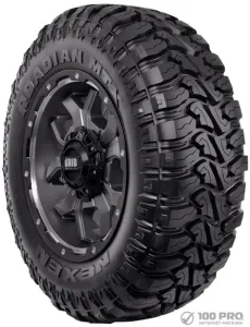 Летние шины Nexen Roadian MTX 33x12.5R20 119Q фото