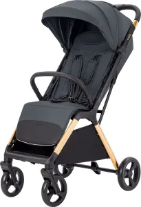 Детская прогулочная коляска Carrello Cross / CRL-5523 фото