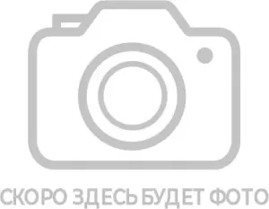 Автокресло Rant Rally Next basic / ZY19 (оливковый) фото