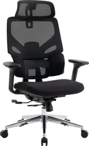 Кресло офисное Evolution LumbarPro AL фото