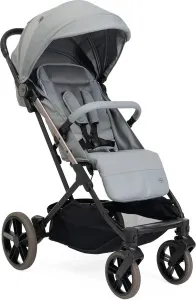 Детская прогулочная коляска Chicco Dolomiti Pebble 07087163120000 фото