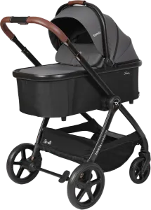 Детская универсальная коляска Tomix Selena 2 в 1 / P02 фото