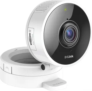 IP-камера D-Link DCS-8100LH/A1A фото
