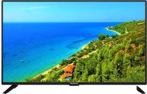 ЖК телевизор Polar 43PL51STC-SM фото