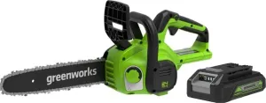 Аккумуляторная пила Greenworks G24CS25K2 2007707UA (с 1-им АКБ 2 Ач) фото