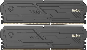Оперативная память Netac Shadow III 2x32ГБ DDR4 3200 МГц NTSHD4P32DP-64K фото