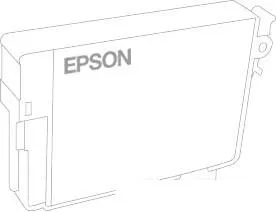 Картридж Epson C13T49N300 фото