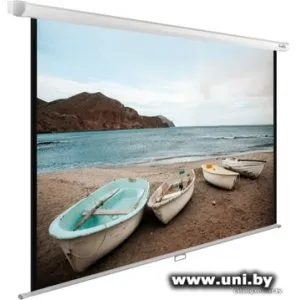 Проекционный экран CACTUS WallExpert 220x138 CS-PSWE-220x138-WT фото