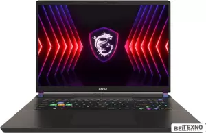 Игровой ноутбук MSI Vector 17 HX A14VIG-899RU фото