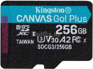 Карта памяти Kingston Canvas Go! Plus microSDXC 256GB фото