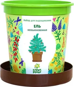 Набор для опытов Happy plant Ель необыкновенная hpn-10 Набор для опытов Happy plant Ель необыкновенная hpn-10 фото