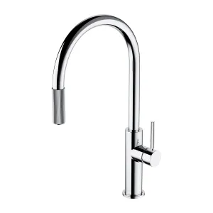 Смеситель для кухни Omnires SWITCH SW9059CR хром фото