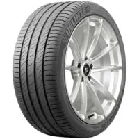 Летние шины Delinte DS2 205/45R17 88V фото