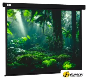 Проекционный экран CACTUS Wallscreen 213x213 CS-PSW-213X213-BK фото