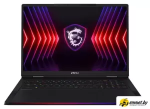 Игровой ноутбук MSI Raider 18 HX A14VIG-483BY фото