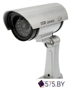 IP-камера Rexant 45-0307 фото