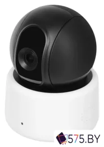IP-камера Ростелеком DH-IPC-A22P фото