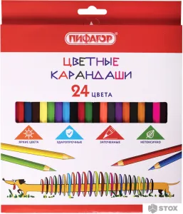 Набор цветных карандашей Пифагор Веселая такса 181808 (24цв) фото