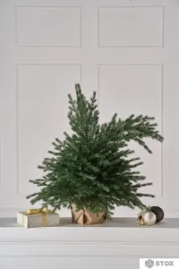 Ель Max Christmas Настольная Шуша (0.9м) фото
