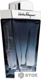 Туалетная вода Salvatore Ferragamo Subtil EdT (100 мл) фото