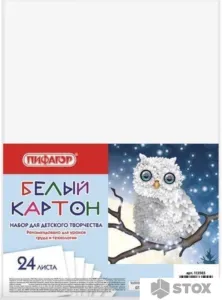 Набор белого картона Пифагор Совушка 113565 (24 л) фото