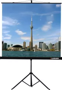 Экран Lumien Eco View LEV-100109, 220х220 см, 1:1, напольный фото