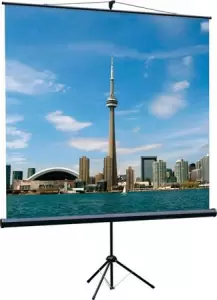 Экран на треноге Lumien 200x200см Eco View LEV-100103 1:1 напольный рулонный фото