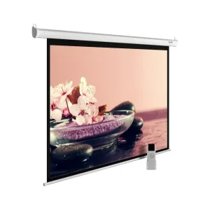 Настенно-потолочный рулонный экран CACTUS 270x360 см MotoExpert CS-PSME-360x270-WT 4:3 белый (моторизованный) 407878 фото