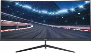 Игровой монитор Digma Overdrive 30A510F фото