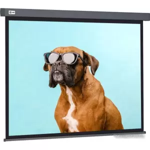 Проекционный экран CACTUS Wallscreen 149x265 CS-PSW-149X265-SG фото