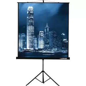 Проекционный экран Lumien Master View 165x220 LMV-100113 фото
