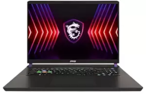 17" Ноутбук MSI Vector 17 HX A14VIG-899RU черный фото