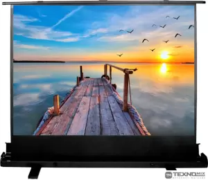 Проекционный экран CACTUS FloorExpert 113x200 CS-PSFLE-200X113 фото