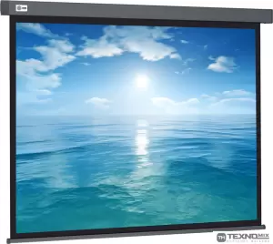 Проекционный экран CACTUS Wallscreen 104x186 CS-PSW-104X186-SG фото