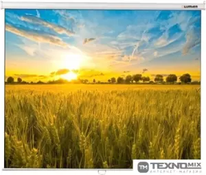 Проекционный экран Lumien Eco Picture 190x300 LEP-100125 фото