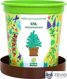 Набор для опытов Happy plant Ель необыкновенная hpn-10 фото