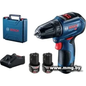 Ударная дрель-шуруповерт Bosch GSB 12V-30 Professional 06019G9180 (с 2-мя АКБ, кейс, китайская версия) фото