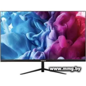 Монитор IRBIS ViewWorld 24FIDS010 фото