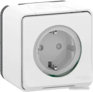 Розетка Schneider Electric Mureva Styl MUR39034 фото