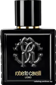 Парфюмерия Roberto Cavalli Uomo EdT (100 мл) фото