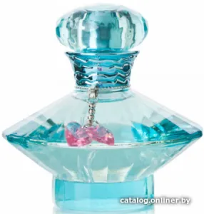 Парфюмерная вода Britney Spears Curious EdP (100 мл) фото