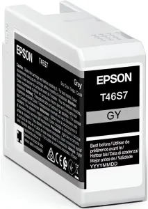 Тонер Epson T46S7 (C13T46S700) фото