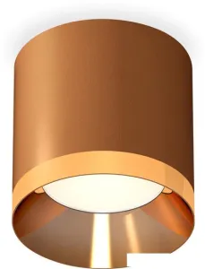 Припотолочная люстра Ambrella light Techno spot XS7404010 SCF/PYG Припотолочная люстра Ambrella light Techno spot XS7404010 SCF/PYG фото