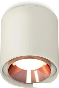 Припотолочная люстра Ambrella light Techno spot XS7724005 SGR/PPG Припотолочная люстра Ambrella light Techno spot XS7724005 SGR/PPG фото