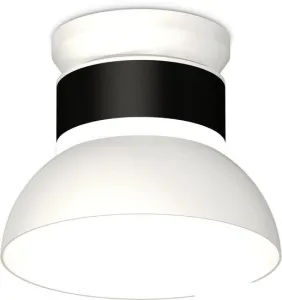 Припотолочная люстра Ambrella light Techno spot XS8102046 SBK/SWH/FR Припотолочная люстра Ambrella light Techno spot XS8102046 SBK/SWH/FR фото