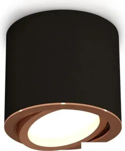 Точечный светильник Ambrella light Techno spot XS7402004 SBK/PPG фото