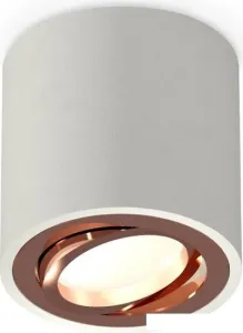 Точечный светильник Ambrella light Techno spot XS7533005 SGR/PPG фото