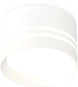 Точечный светильник Ambrella light Techno spot XS8101021 SWH/FR фото